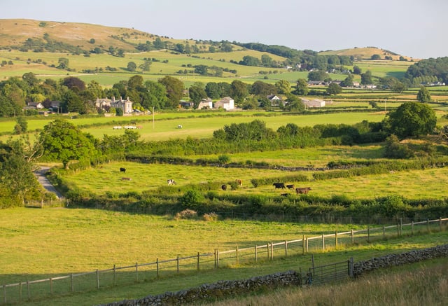Peaceful. Welcoming. Family Farm Estate - Photo 3