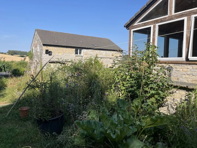 Re-Naturing and outdoor help, Somerset - Photo 14