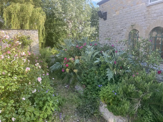 Re-Naturing and outdoor help, Somerset - Photo 6