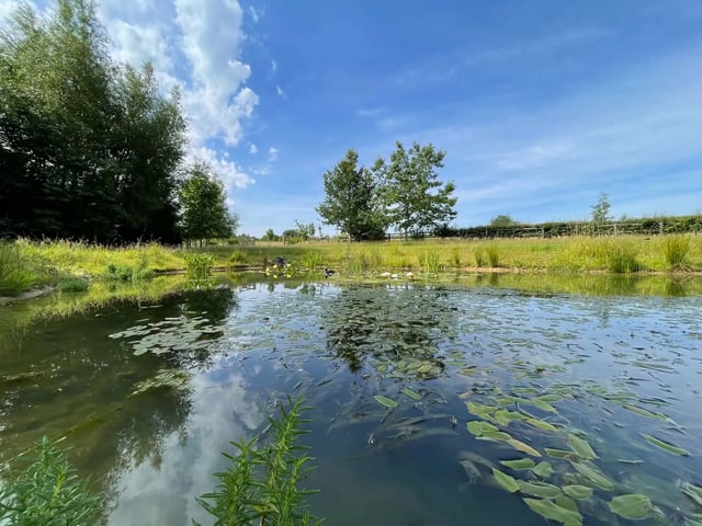 Retreat and animal farm, Essex - Photo 6