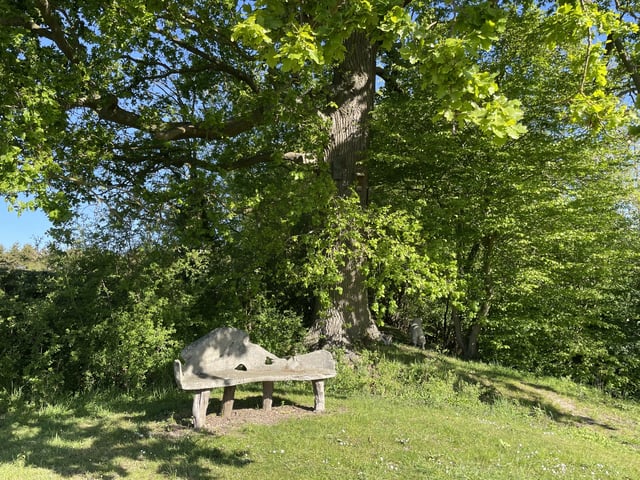 Retreat and animal farm, Essex - Photo 23