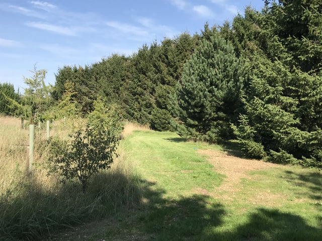 Retreat and animal farm, Essex - Photo 26
