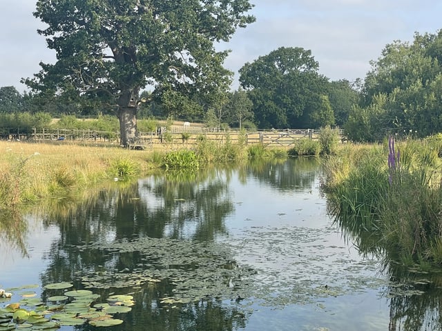 Retreat and animal farm, Essex - Photo 5