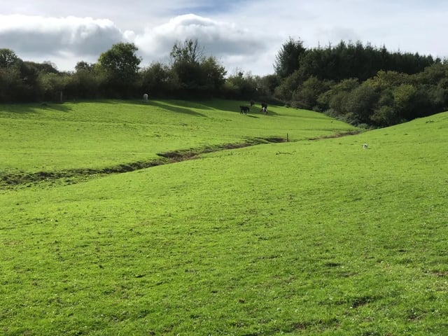 Helping horses on a Devon Farm - Photo 3
