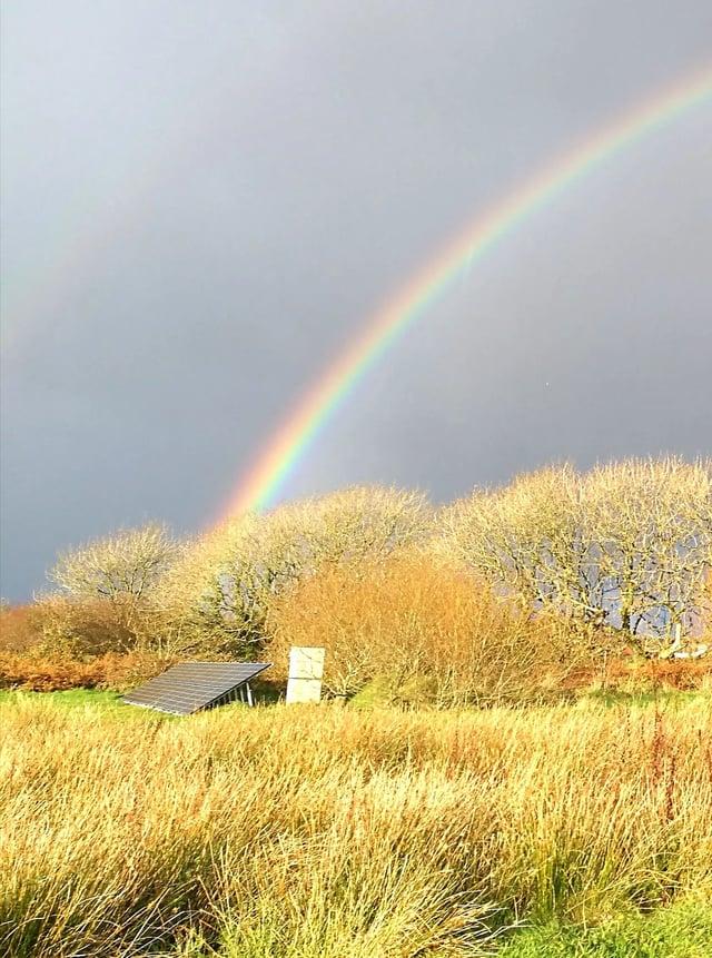 Pembrokeshire coast ancient smallholding - Photo 30