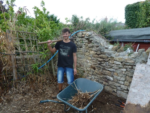 Organic homestay on a Dorset Farm - Photo 7
