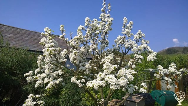 Organic homestay on a Dorset Farm - Photo 3