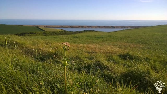 Organic homestay on a Dorset Farm - Photo 2