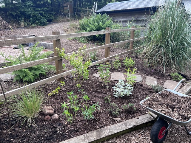 Help at a Rural Cottage, Scotland - Photo 10