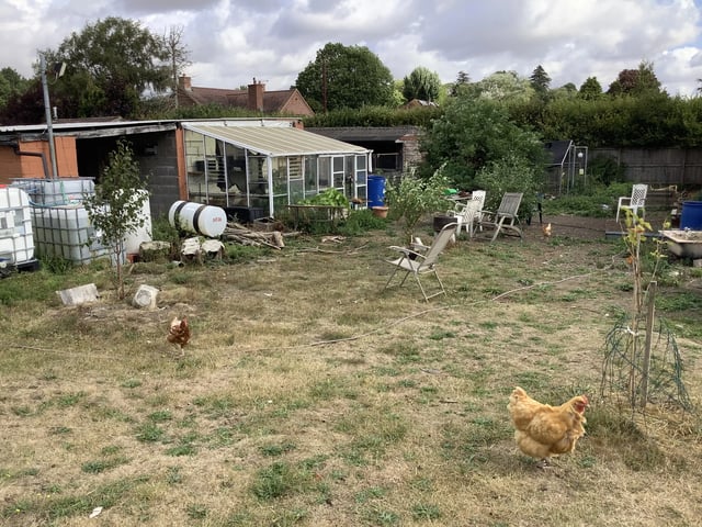 Help on a small farm, Wiltshire - Photo 7