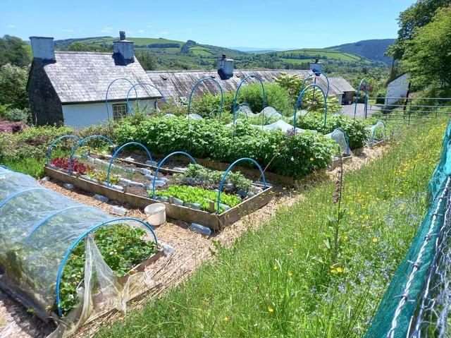Beautiful Welsh gardens - Photo 7