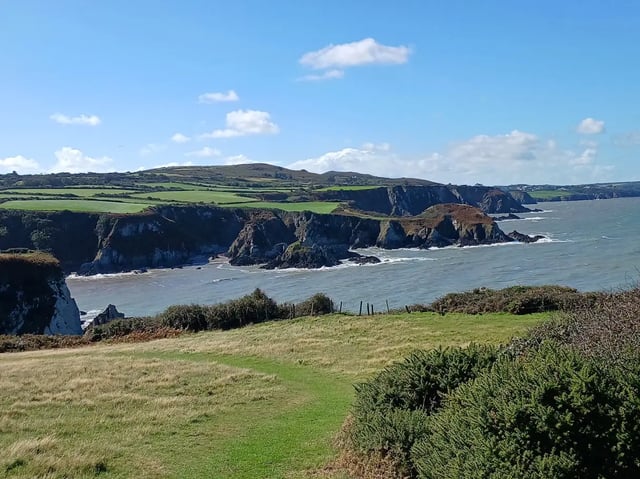 Beautiful Welsh gardens - Photo 25