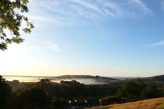 Beautiful Welsh gardens - Photo 17