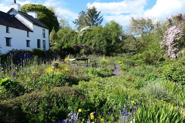 Beautiful Welsh gardens - Photo 2