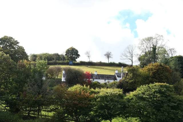 Beautiful Welsh gardens