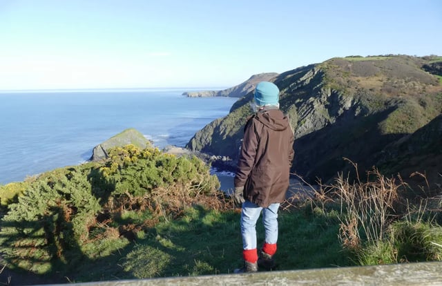 Beautiful Welsh gardens - Photo 37