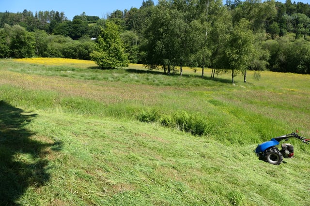 Beautiful Welsh gardens - Photo 11