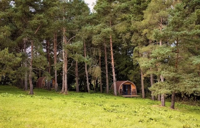 Eco Organic Farmstay in the Countryside - Photo 8