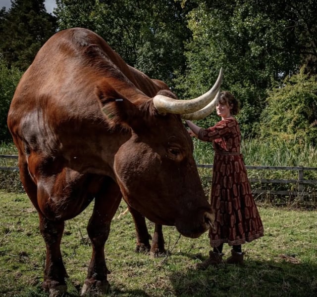 Eco Organic Farmstay in the Countryside - Photo 11