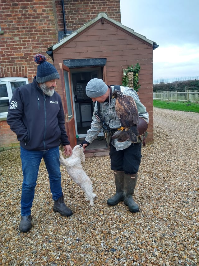 Help with horses, Lincolnshire farm - Photo 21