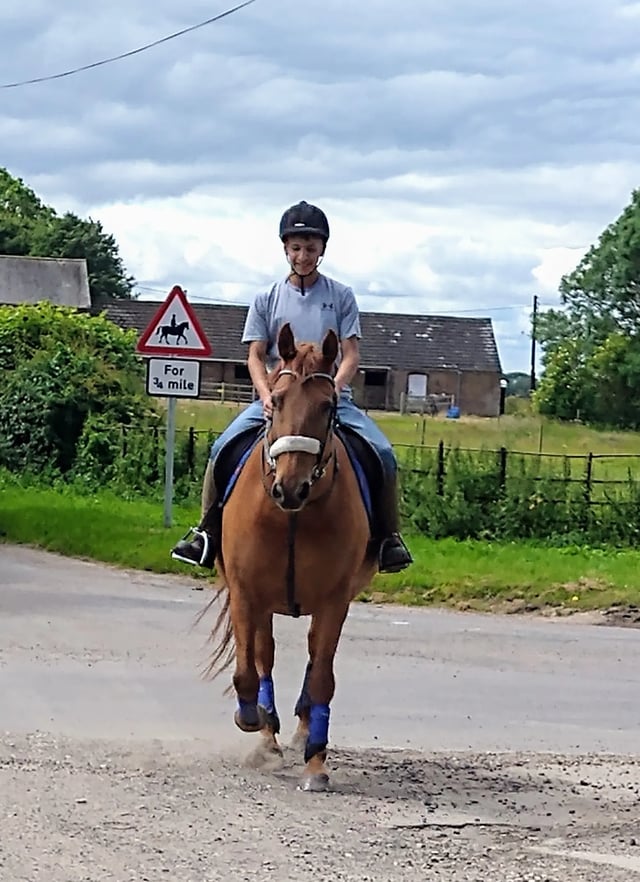 Jood and her horses - Photo 6