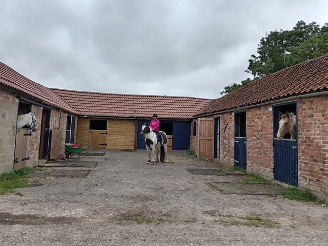 Jood and her horses - Photo 8