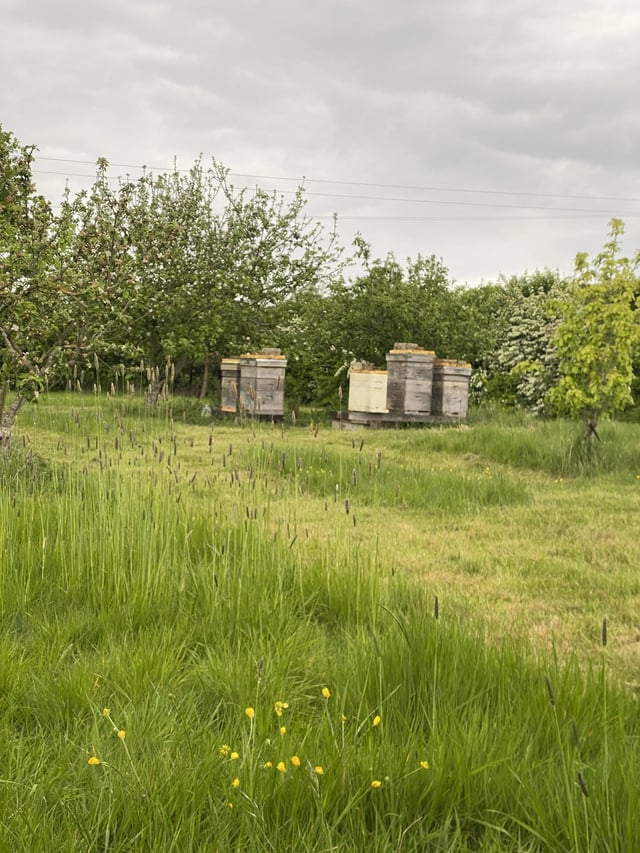 Eco glamping, Kent - Photo 18