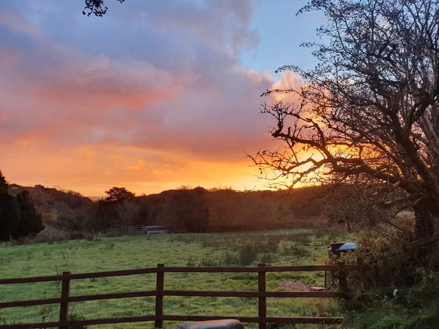 Glamping on a farm, west Wales - Photo 9