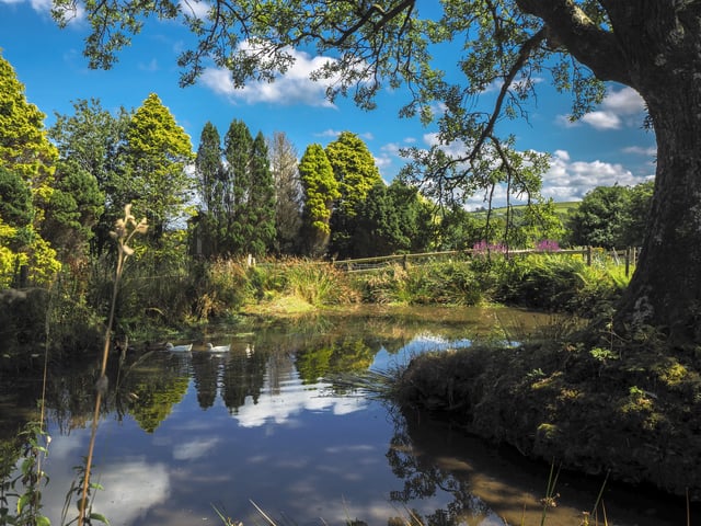 Glamping on a farm, west Wales - Photo 8