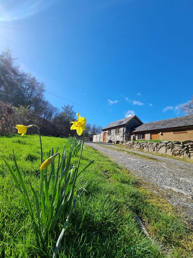 Cottage escape, mid-Wales - Photo 7