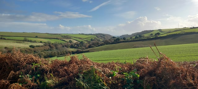 Gardening help in Devon - Photo 17