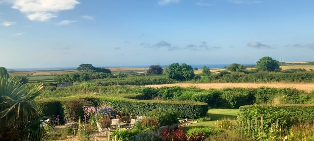 Gardening help in Devon - Photo 20