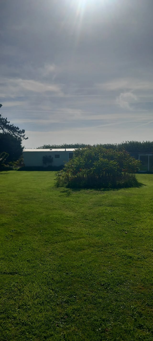 Gardening help in Devon - Photo 13