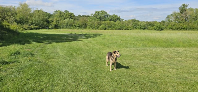 Peaceful caravan site In Malvern, Worcs - Photo 2