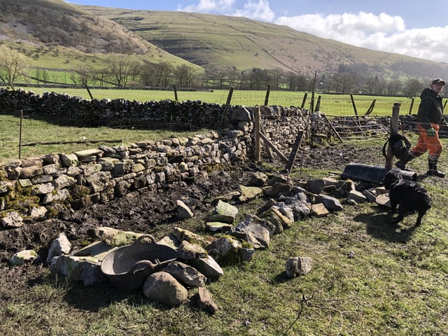 Everyday help on a Yorkshire Dales farm - Photo 24
