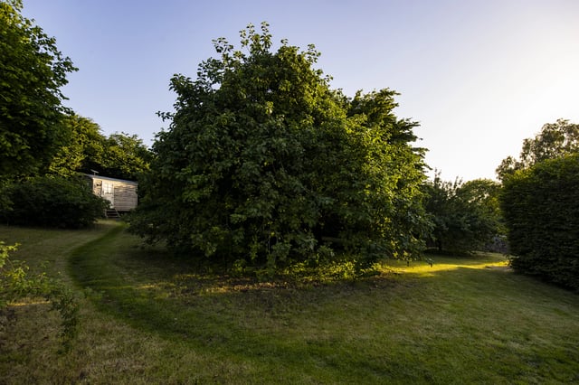 Shepherd's hut on a Bristol Farm - Photo 2
