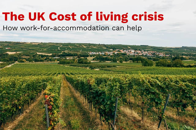 UK vineyard landscape with bold headline referencing the cost of living crisis and work for accommodation as a practical solution for property owners.
