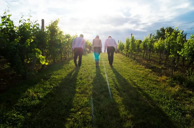 The trust economy: why verified hosts and honest reviews matter in travel