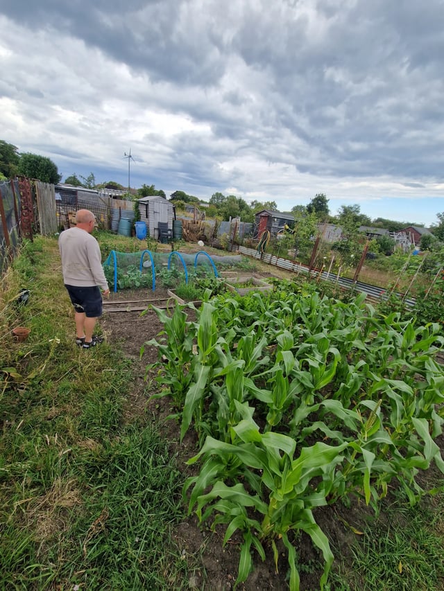 Norfolk Broads homestay - Photo 4
