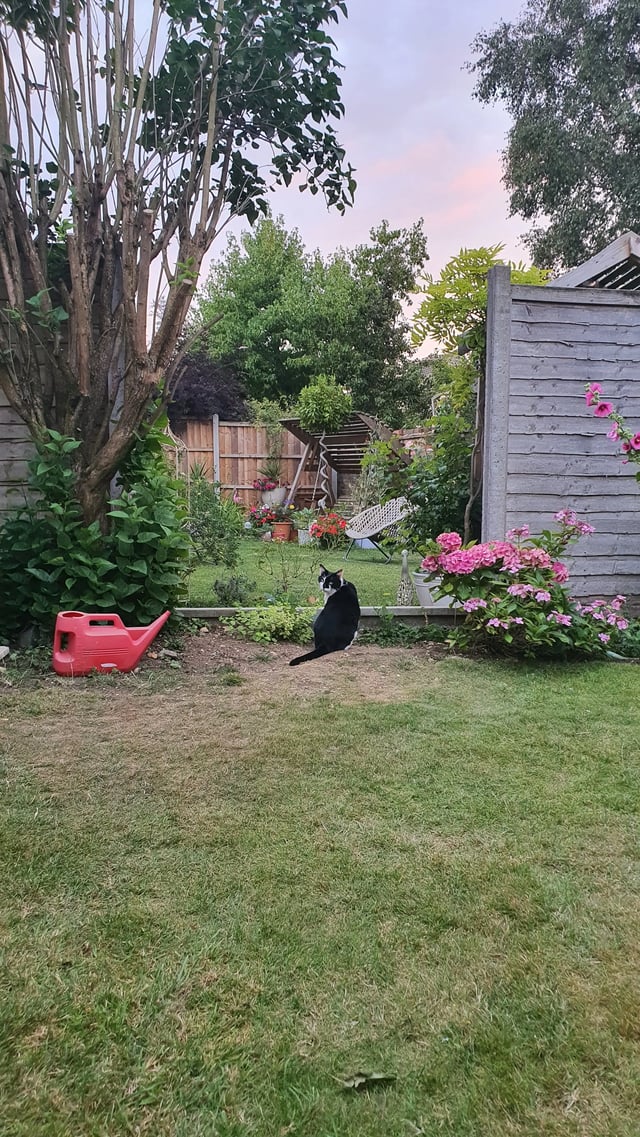 Norfolk Broads homestay - Photo 6