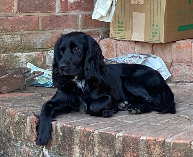 Rural vineyard in Herefordshire - Photo 12