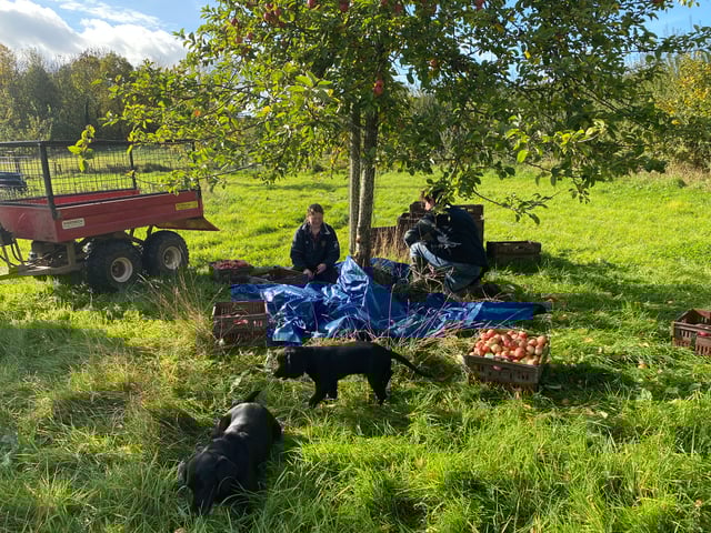 Rural vineyard in Herefordshire - Photo 2
