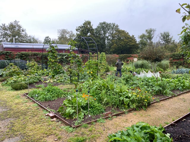 Rural vineyard in Herefordshire - Photo 9
