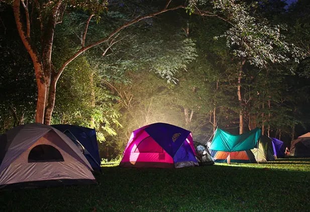  Sustainable community farm - Photo 6