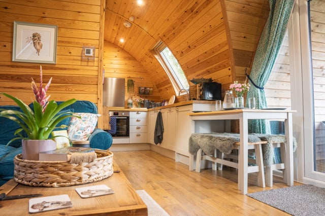 Glamping on an Alpaca farm - Photo 2