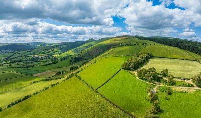 Glamping on an Alpaca farm - Photo 10