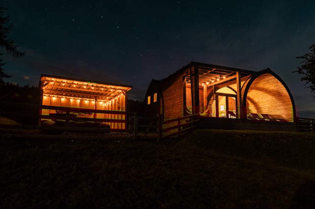 Glamping on an Alpaca farm