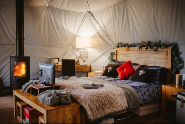 Country house in the Shropshire wildlife - Photo 2