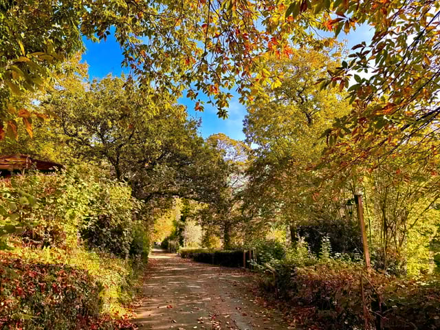Holiday cabins by the Devon sea - Photo 8