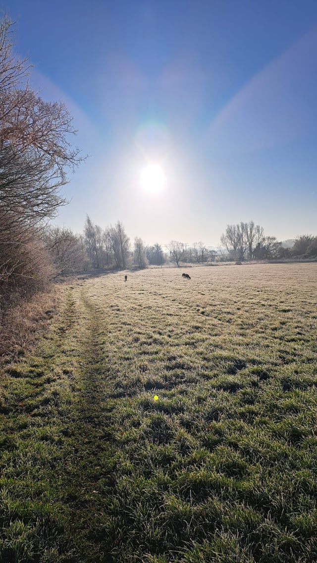 Rural, peaceful farmhouse - Photo 7